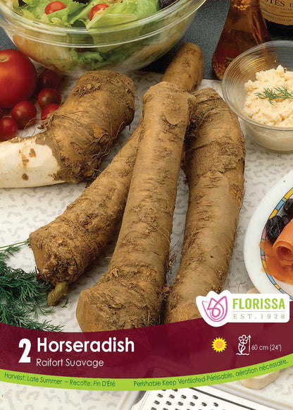 Horseradish Root