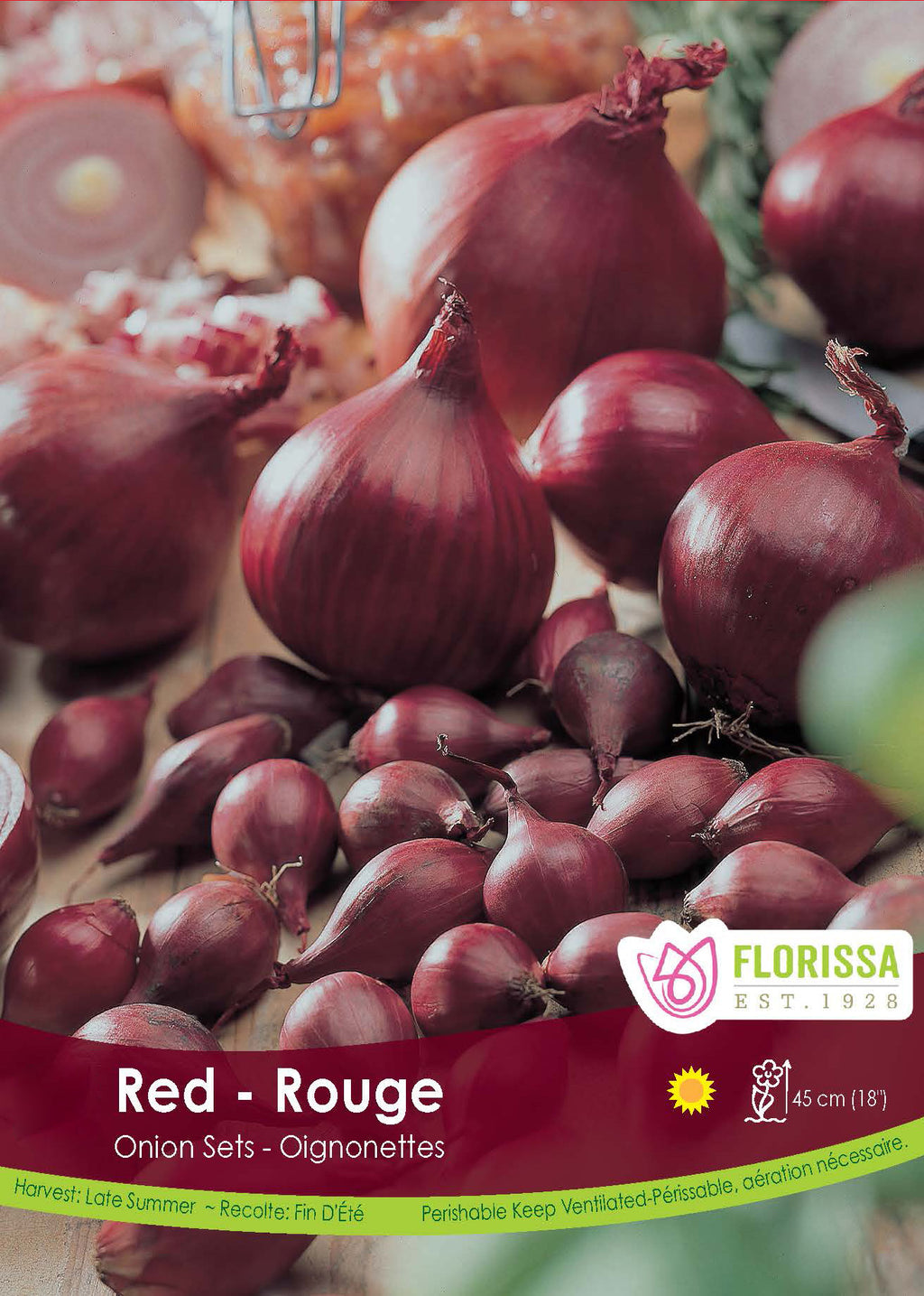 Onion Red Bulbs