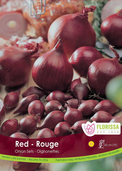 Onion Red Bulbs