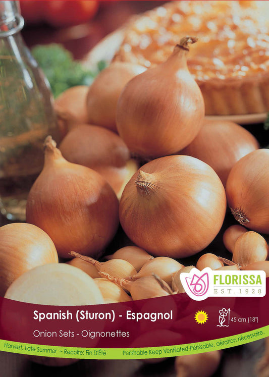 Yellow Spanish Onion Sturon
