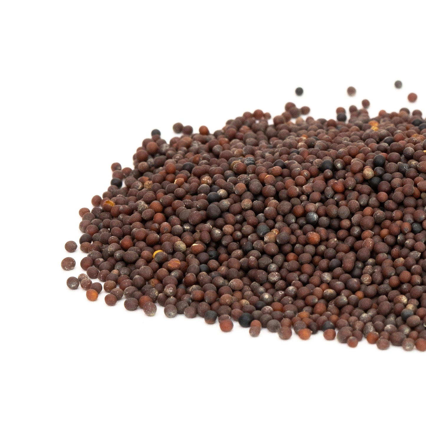 Sprouts or Microgreens Brown Mustard Seeds 100gm