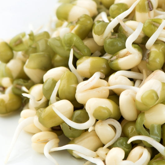 Sprouts Mung Bean Seeds 125gm