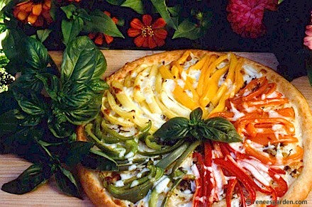 Pepper Container Pizza My Heart