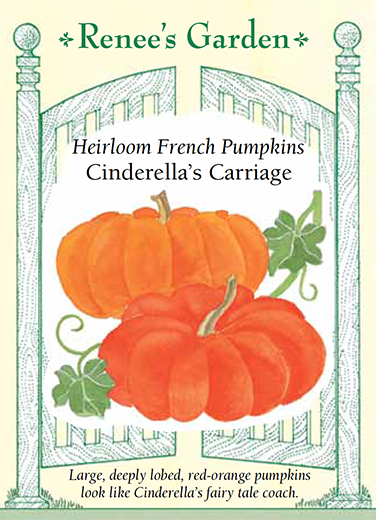 Pumpkin Jumbo Cinderella's Carriage