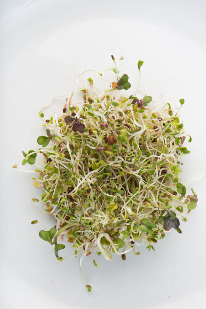 Sprouts Spring Salad Mix Seeds 100gm