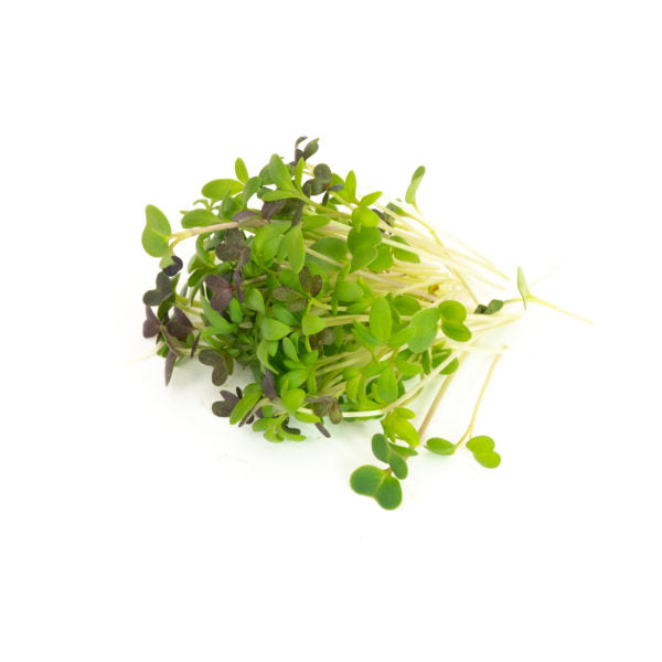 Microgreens Spicy Blend 125gm