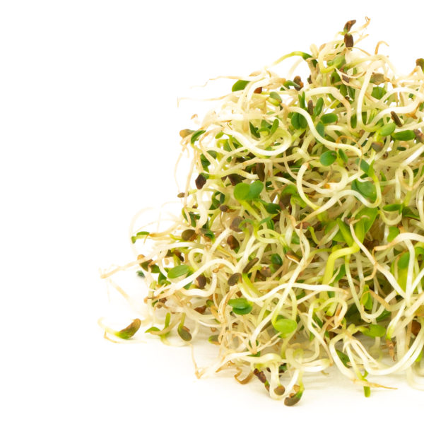 Sprouts Spring Salad Mix Seeds 100gm