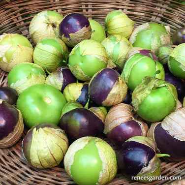 Tomatillo Fiesta Duo