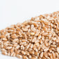 Sprouts Wheat Berries 125gm