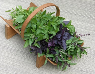 Basil Scented Trio