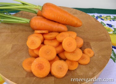 Carrot Short Stuff Organic