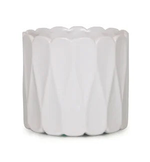 White Cannes 4 " Pot