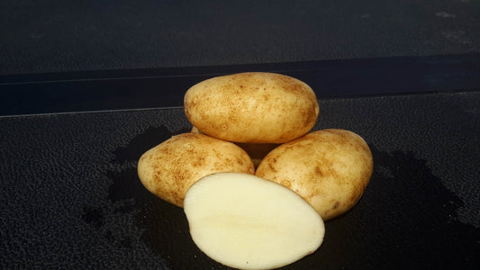 Potato Seed Yukon Gold