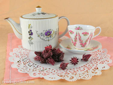 Hibiscus Zinger Herbal Tea