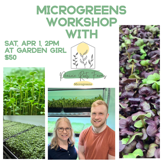 Workshop Microgreens