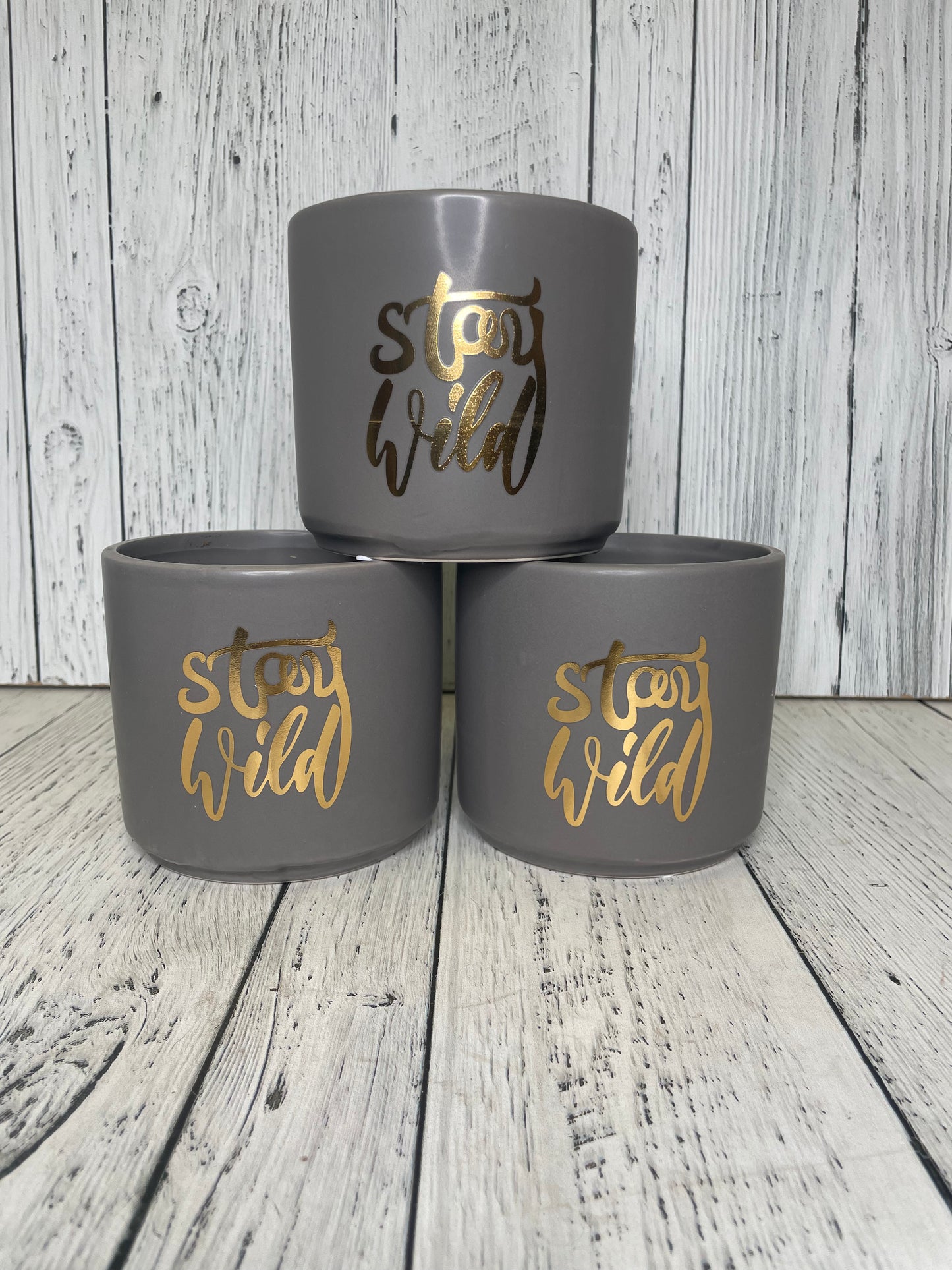 Stay Wild Planter 4" Pot