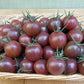 Tomato Cherry Black Cherry Organic