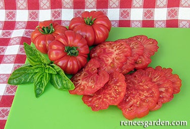 Tomato Costoluto Genovese Organic