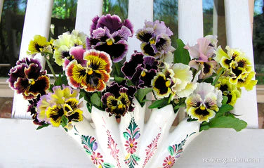 Pansy Victorian Posy