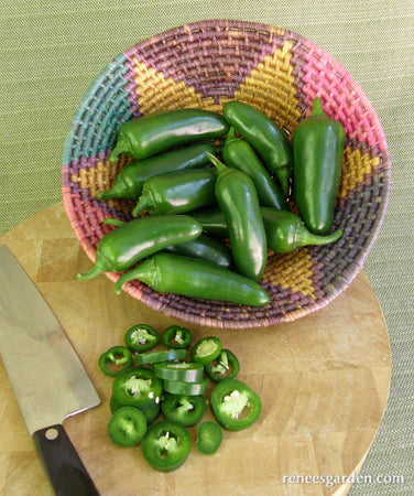 Pepper Jalapeno Early Flame Container