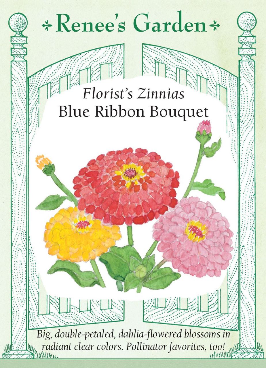 Zinnia Florist's Blue Ribbon Bouquet