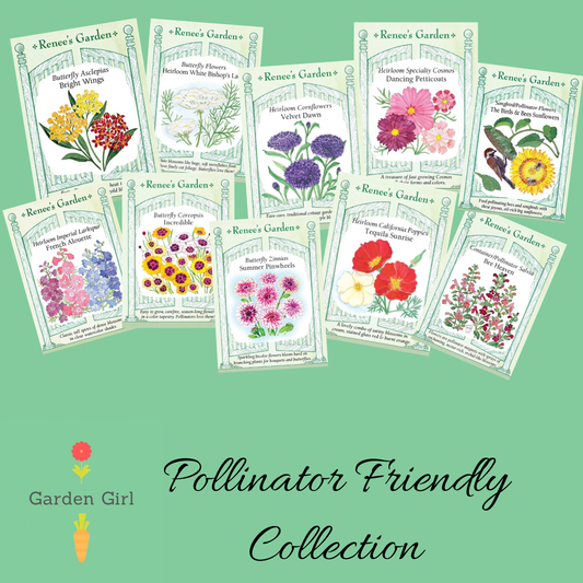 Pollinator Friendly Garden Seed Collection