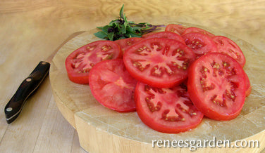 Tomato Big Beef Beefsteak