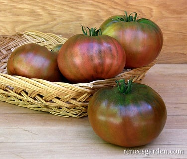 Tomato Black Krim Organic