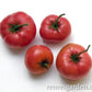 Tomato Red Brandywine Organic