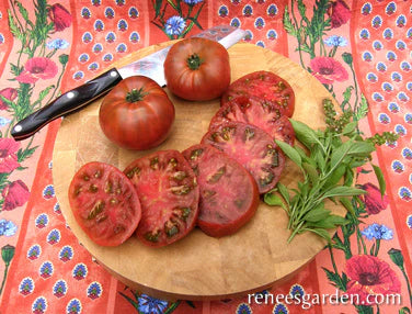 Tomato Tasmanian Chocolate Organic