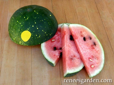 Watermelon Moon & Stars